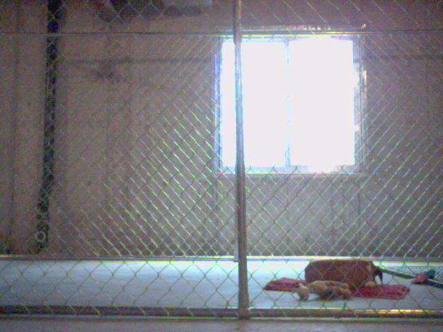 I will escape, after a nap.