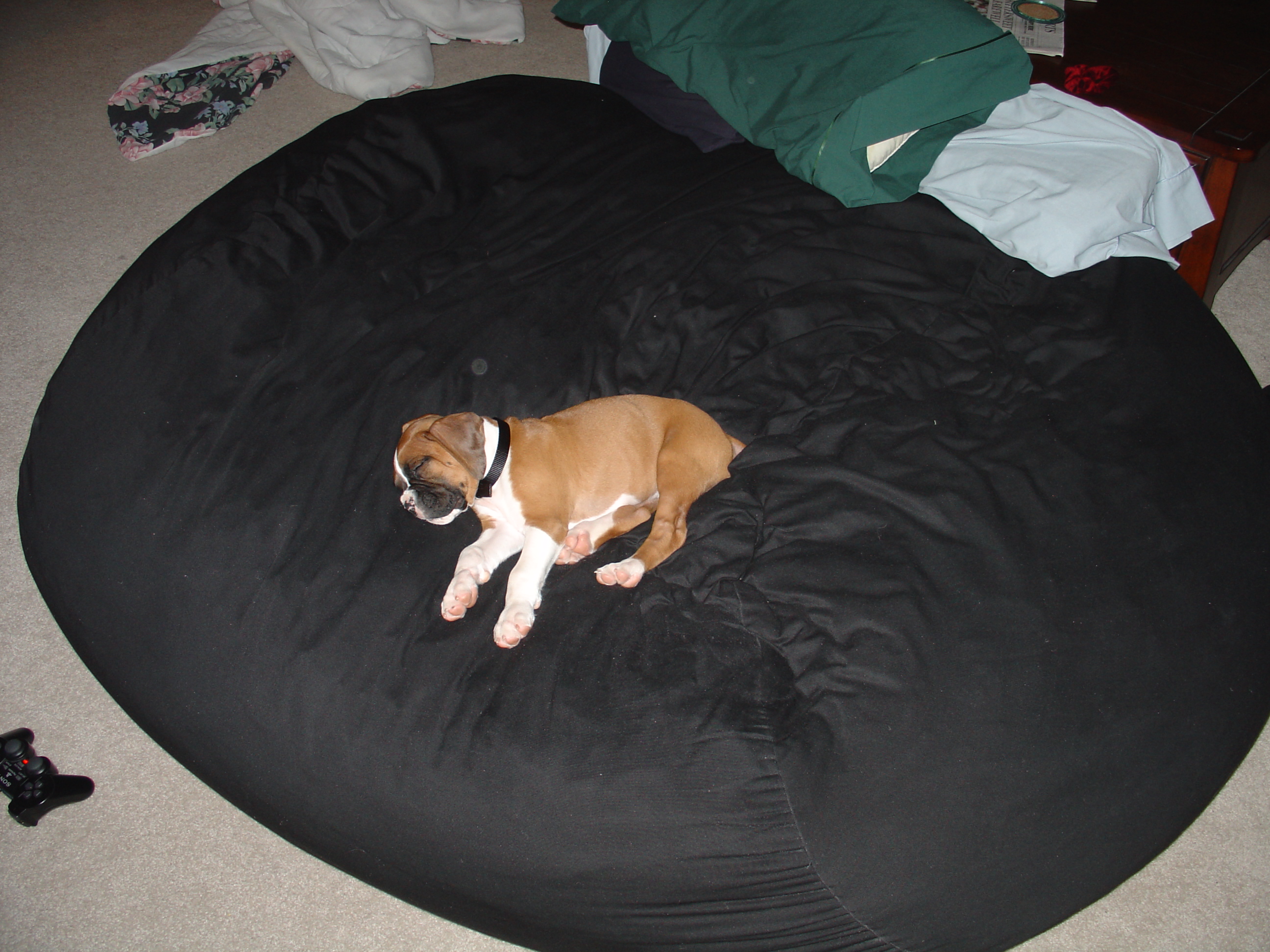 So cute!